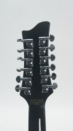 Schecter Stargazer-12 *Modded (2013) (SKU: 32785) 32785
