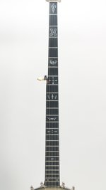 Vega Pete Seeger Longneck Custom (SKU: 32125) 32125