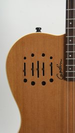 Godin Multiac Nylon Encore (SKU: 31698) 31698