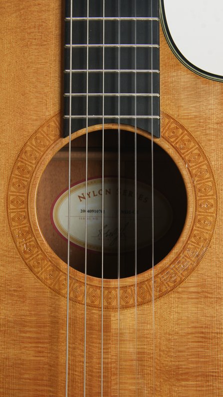 Taylor NS32-CE (2004) #8