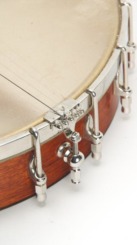 Mike Ramsey 12" Fretless (1998) #9