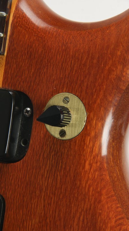 Alembic Series 1 Bass (1975) #9
