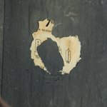 Fender Princeton Amp (c.1972) (SKU: 32733) 32733