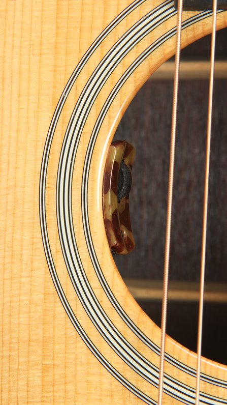Eastman E20D #9