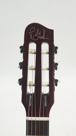 Godin Multiac Nylon Encore (SKU: 31698) 31698