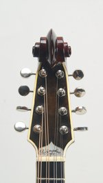 D'Angelico Scroll Mandolin (#127 ca. 1940) (SKU: 31805) 31805