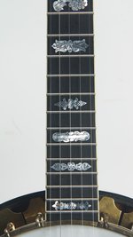 Vega  Artist (Five String Conversion) (SKU: 32259) 32259
