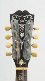 Weymann Style 75 Mandolute (ca. 1910) (SKU: 31862) 31862