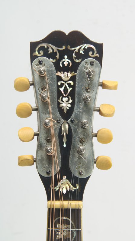 Weymann Style 75 Mandolute #9