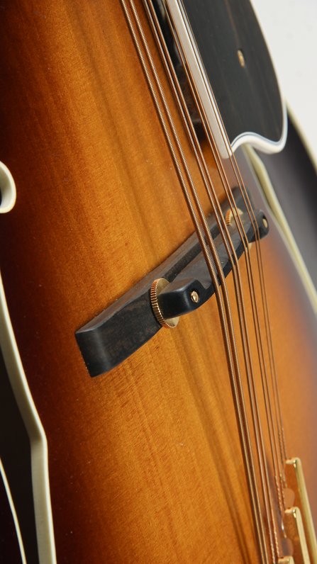 Triggs Mandocello (2012) #9