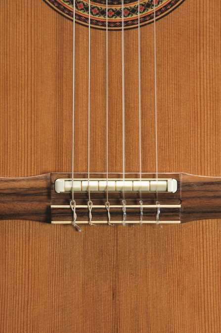 Gibson Chet Atkins Classic CE (2001) #9