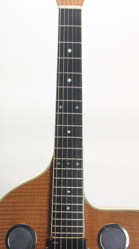 Lehmann Roundneck Cutaway Resonator #9
