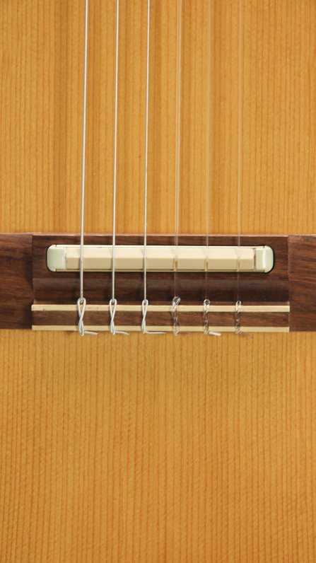 Gibson Chet Atkins Classic CEC (1989) #9
