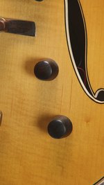 Roger Borys B120 Deluxe Archtop (2024) (SKU: 32615) 32615