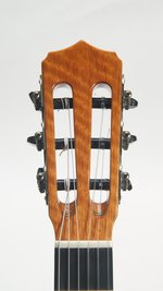 Cordoba Orchestra Pro CE SP/RW (2011) (SKU: 31929) 31929