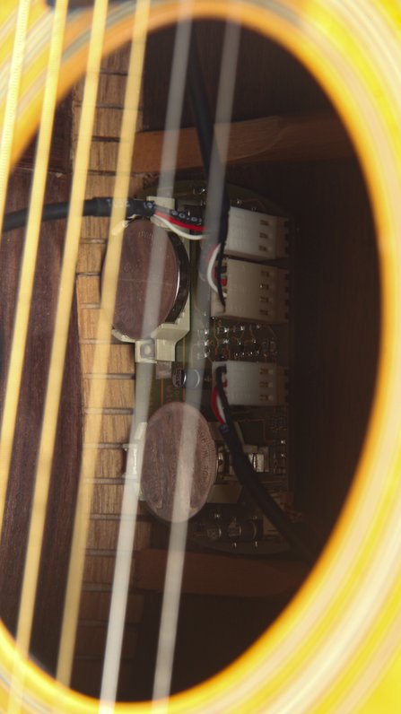 Eastman E8D *USED #10