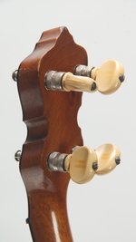 Lyon and Healy Mystic Pony Banjo (SKU: 32419) 32419
