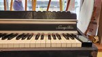 Fender Rhodes MKII Suitcase (1979) (SKU: 32738) 32738