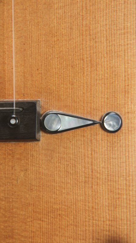 Lehmann & Cole Louis Panormo reproduction (2018) #10