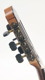 Cordoba GK Studio Negra (SKU: 31704) 31704
