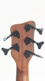 Warwick Thumb 5 Neck Thru (c.2003) (SKU: 32539) 32539