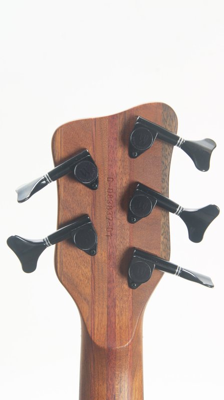 Warwick Fretless Thumb 5 Neck Thru (c.2003) #10