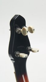 Gold Tone Cello Banjo CEB-5 *USED* (SKU: 31759) 31759