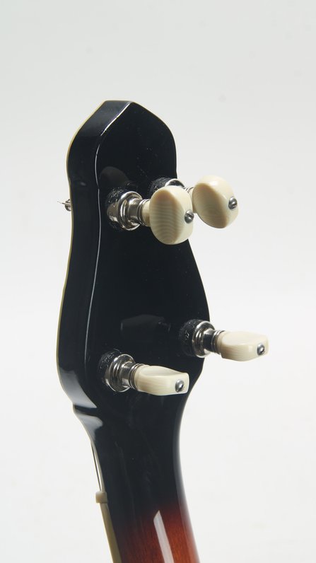 Gold Tone Cello Banjo CEB-5 *USED* #10