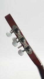 Godin Multiac Nylon Encore (SKU: 31698) 31698