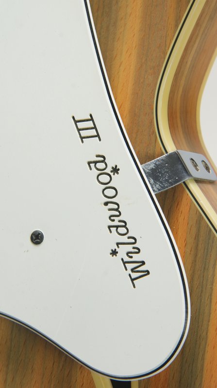 Fender Wildwood III Coronado II (1967) #10