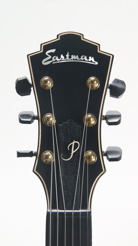 Eastman AR480CE-SB #10