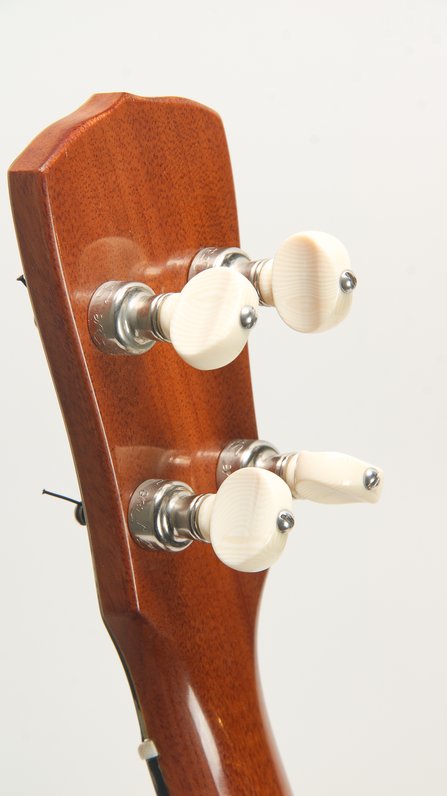 Kerry Char Tenor Ukulele #10