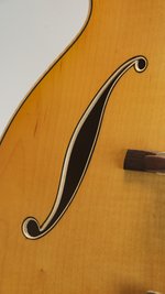 Roger Borys B120 Deluxe Archtop (2024) (SKU: 32615) 32615