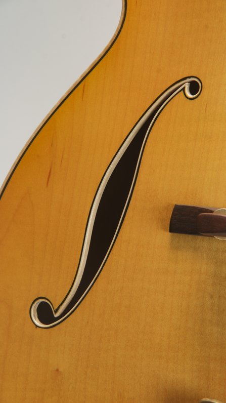 Roger Borys B120 Deluxe Archtop (2024) #10