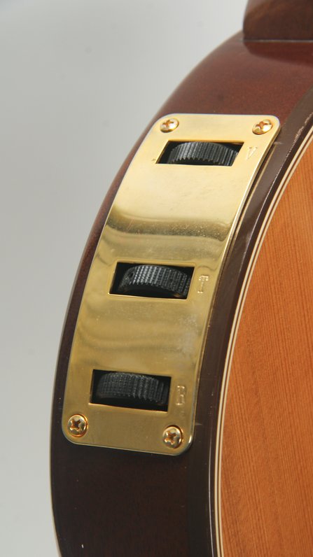 Gibson Chet Atkins Classic CE (2001) #10