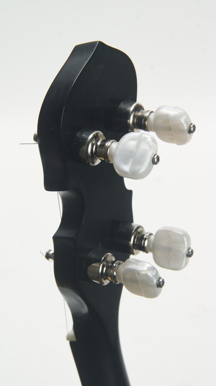 Gold Tone WL-250 Conversion #10