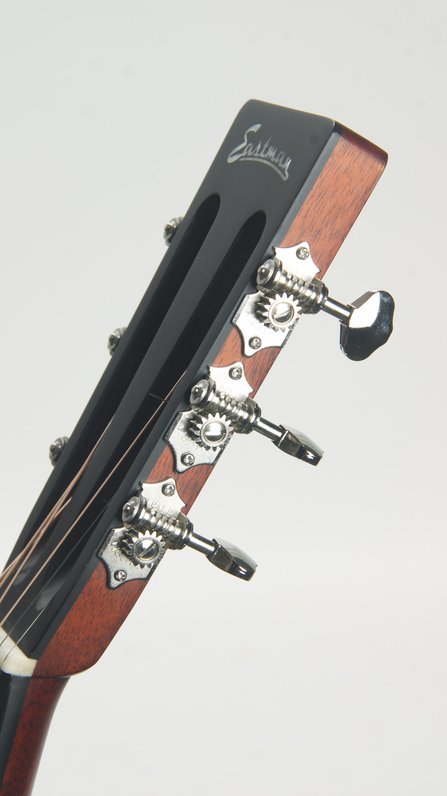 Eastman E10P-TC #10