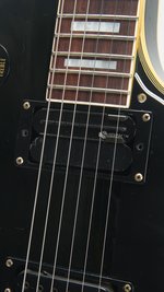 Burny RLC Sustainer (SKU: 32030) 32030