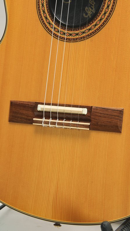 Gibson Chet Atkins Classic CEC (1989) #10