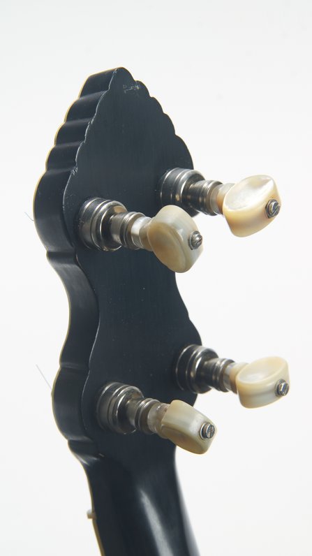 Ray Alden 11.25" Fretless #10