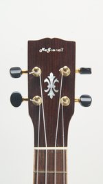 McGonnell Arch Top Tenor Uke (SKU: 31617) 31617