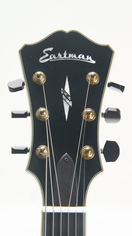 Eastman AR810-CE #10