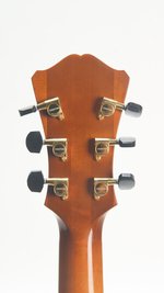 Eastman AR805-GB *Used (SKU: 32485) 32485
