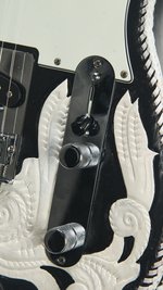 Fender Telecaster MIM w Waylon Leather (2007) (SKU: 32188) 32188