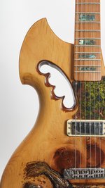 RC Kelly Turtle Electric Guitar (Art) (SKU: 31963) 31963