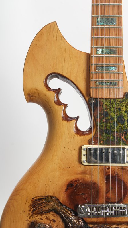 RC Kelly Turtle Electric Guitar (Art) #10