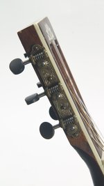 Washburn R320 SWRK Parlor (SKU: 31992) 31992