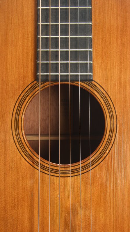 Ditson Standard Model Style 2 (ca.1917) #10