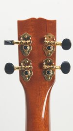 McGonnell Arch Top Tenor Uke (SKU: 31617) 31617
