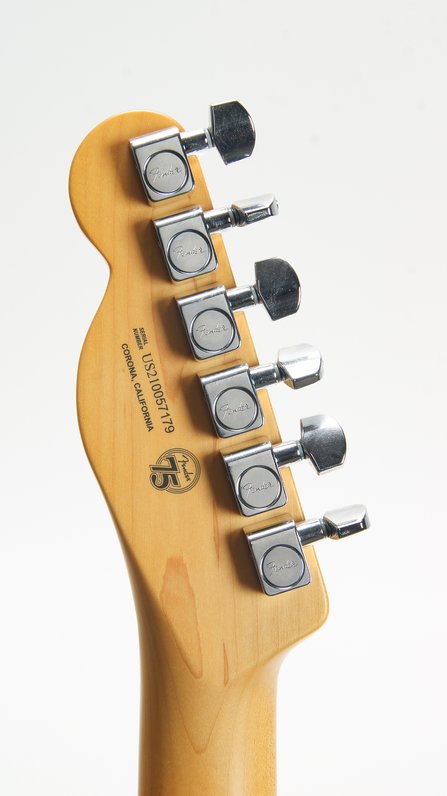 Fender American Professional II Telecaster Sienna Burst *Modded (2021) #11